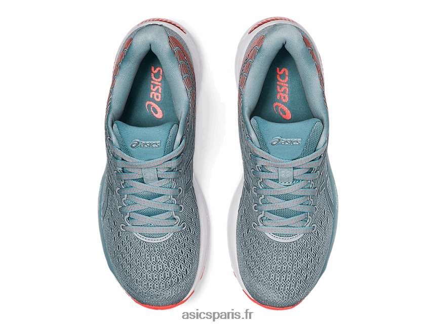femmes Asics gel-cumulus 22 BXL8B24168 gris piedmont/acier clair
