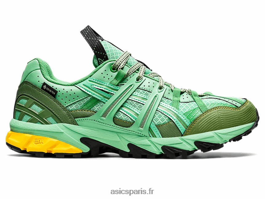 Hommes Asics hs4-s gel-sonoma 15-50 gtx BXL8B21248 bouquet printanier/bleu graphite