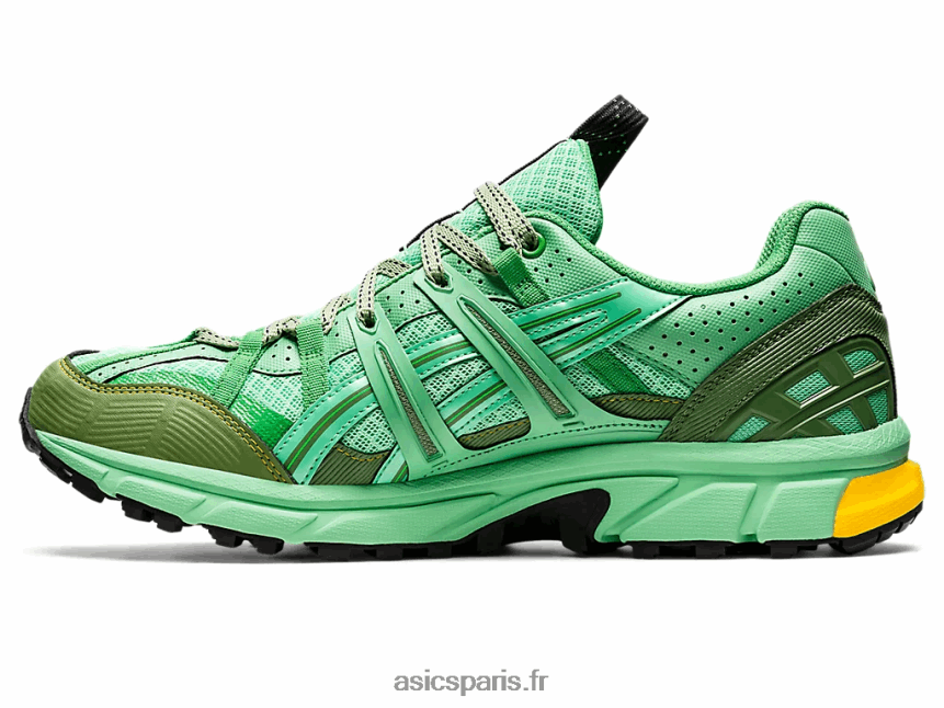 Hommes Asics hs4-s gel-sonoma 15-50 gtx BXL8B21248 bouquet printanier/bleu graphite