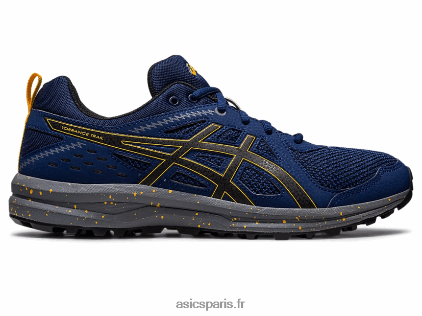 Hommes Asics sentier de torrance BXL8B2989 étendue bleue/noir