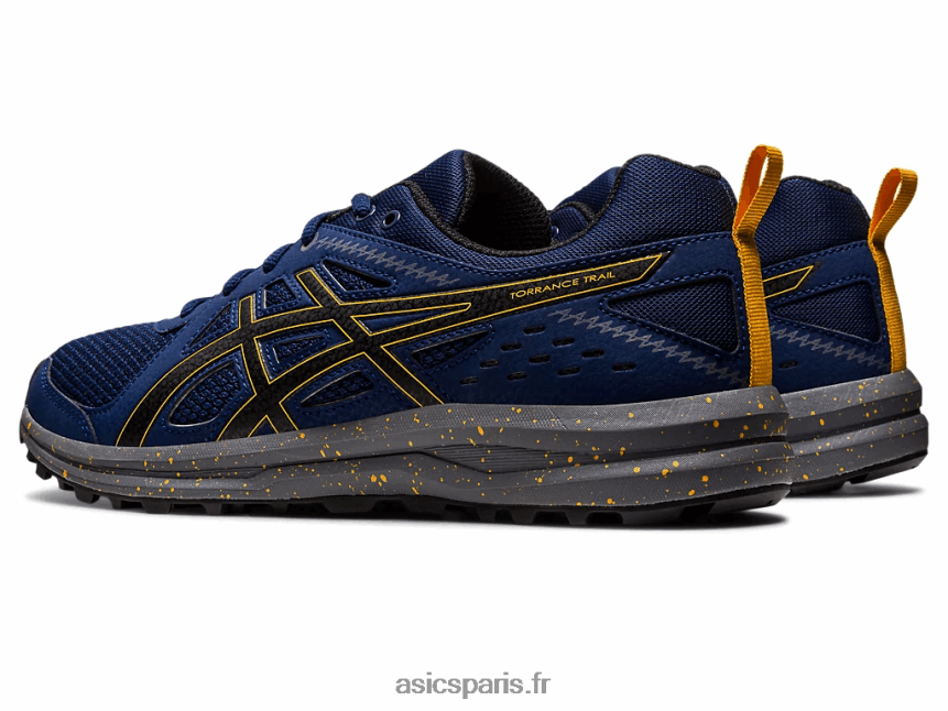 Hommes Asics sentier de torrance BXL8B2989 étendue bleue/noir