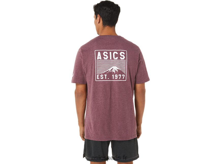 Hommes Asics t-shirt fuji 1977 BXL8B21265 bruyère mars profonde