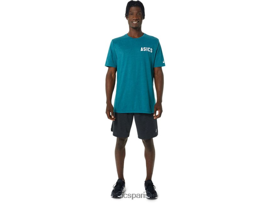 Hommes Asics t-shirt à rayures BXL8B2831 velours pin bruyère