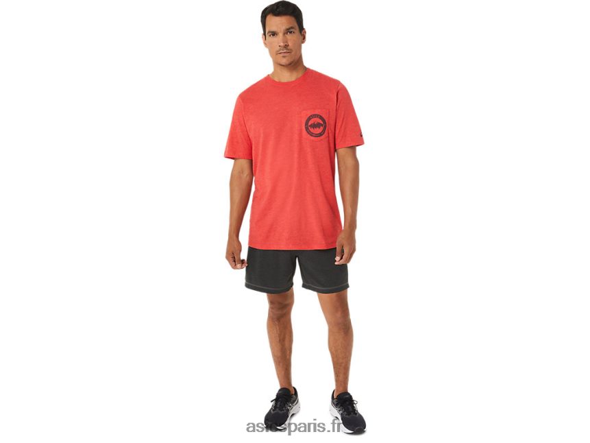 Hommes Asics tee-shirt montagne 1977 BXL8B2890 bruyère rouge classique